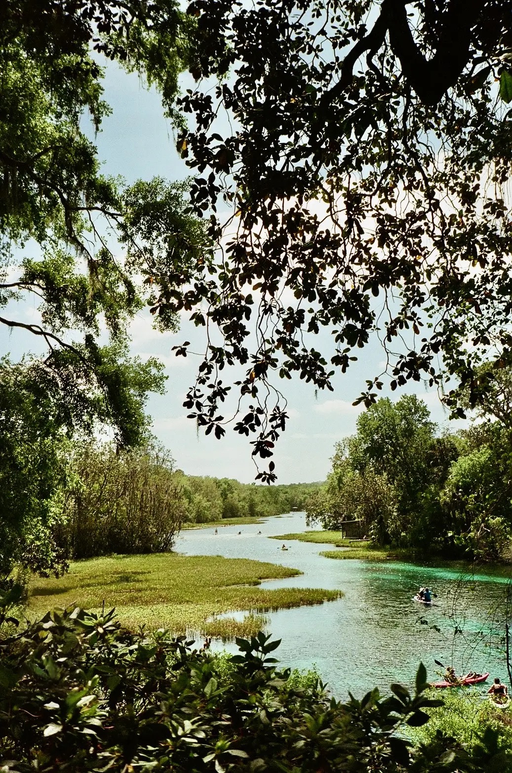 Nature and River