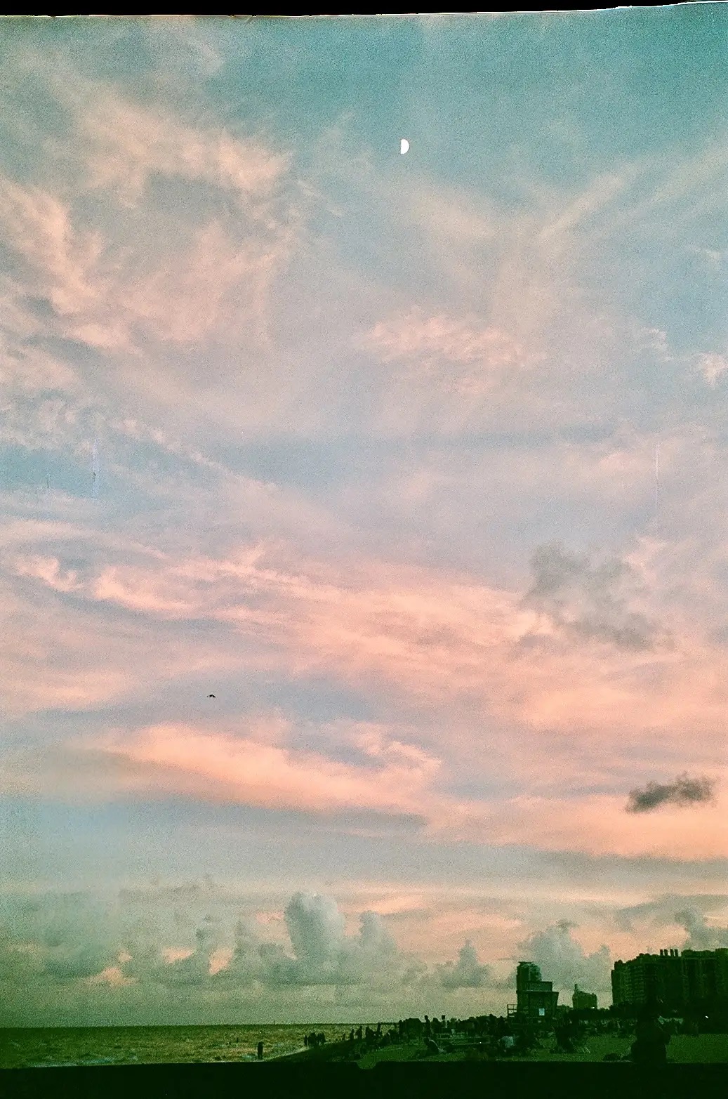 Another Scenic View
