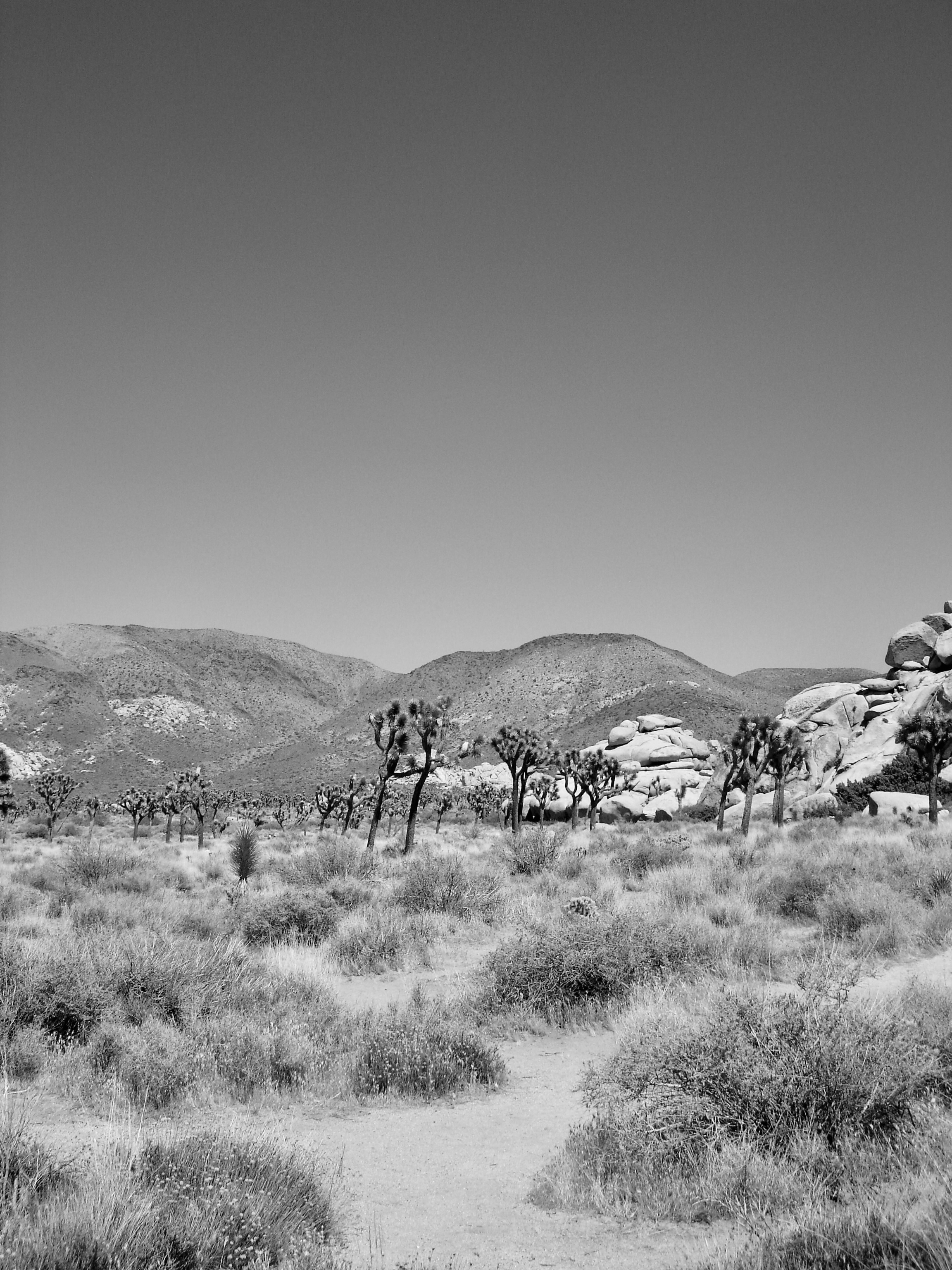 Black and White Desert Scene 3