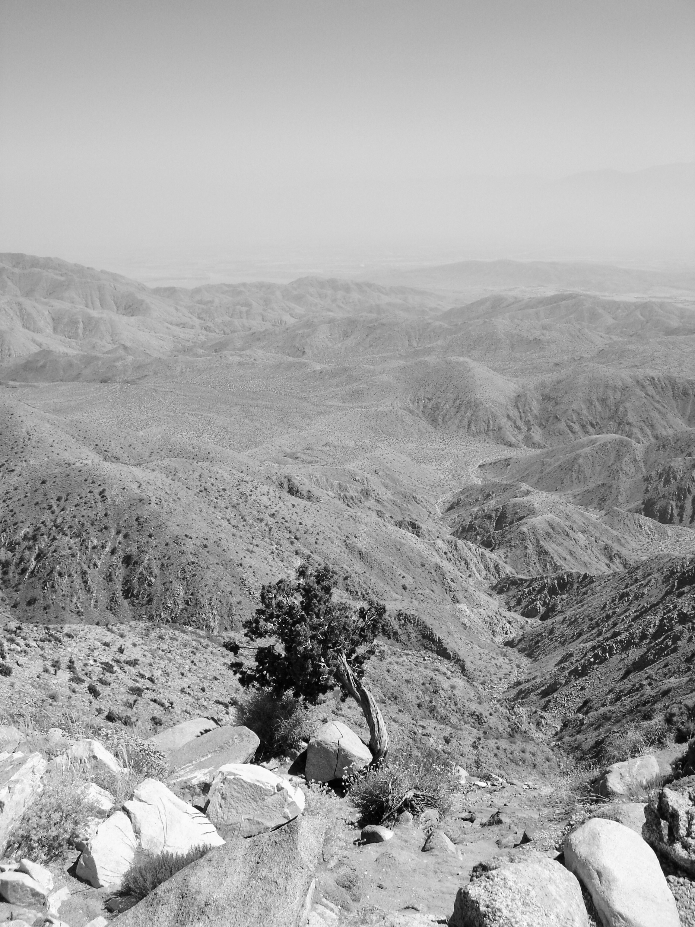 Mountain Landscape